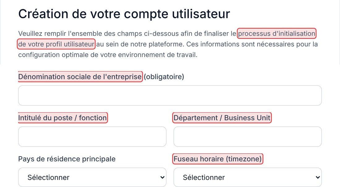Formulaire Flowrate : « processus d'initialisation », « dénomination sociale », « Business Unit » et « timezone » entourés en rouge